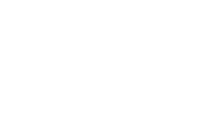 vidwrx-logo-white